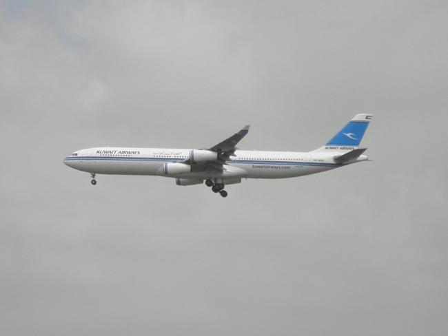 P8100034.JPG